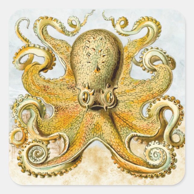 Gemalter Nautischer Kraken-Tintenfisch Quadratischer Aufkleber (Vorderseite)