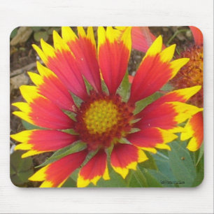 Gemaltes Gänseblümchen Mousepad