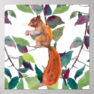 Gemaltes Rotes Eichhörnchen Eicheln Baumzweige Rus Poster