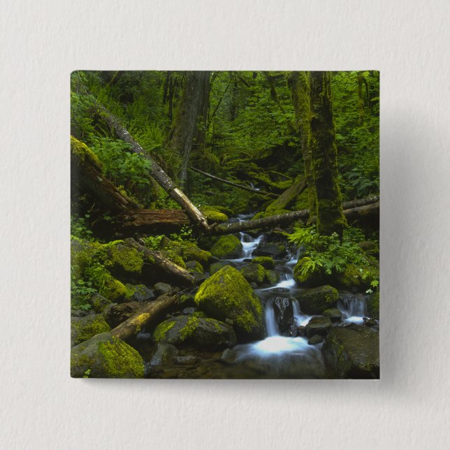 Gemäßigter Regenwaldstrom im Columbia River Button (Vorderseite)