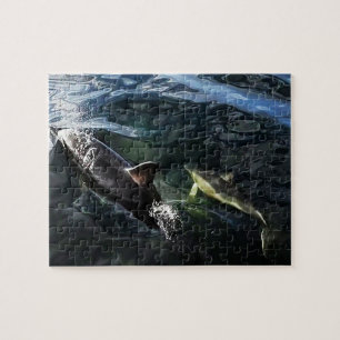 Gemeine Dolphin Mum und Baby Jigsaw Puzzle