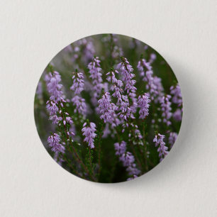 Gemeine Heide (Calluna gemein) Button