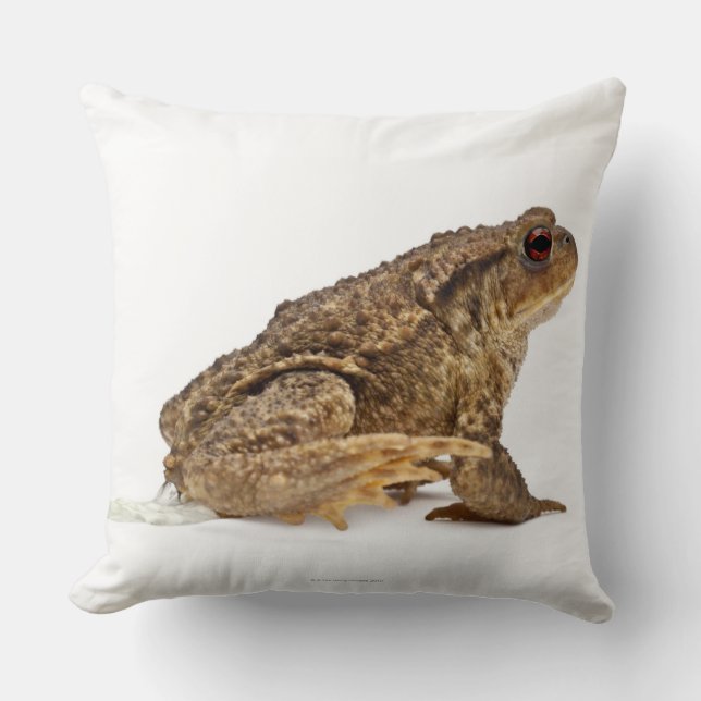 Gemeine Kröte oder europäische Kröte (Bufo bufo) Kissen (Vorderseite)