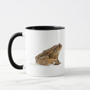 Gemeine Kröte oder europäische Kröte (Bufo bufo) Tasse