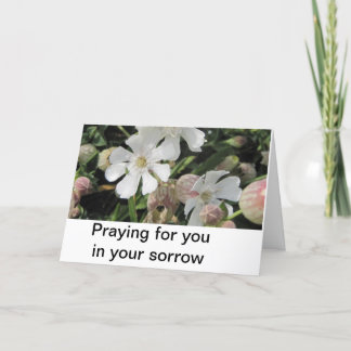 Gemeine Leimkräuter, Cornwall Karte