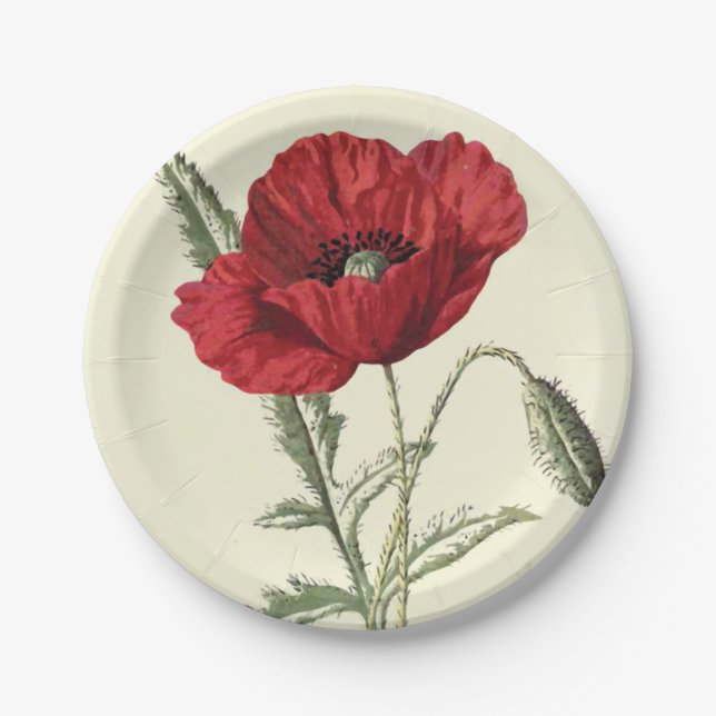 Gemeine Mohnblumen-Vintage botanische Illustration Pappteller (Vorderseite)