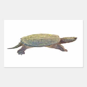 Gemeine reißende Schildkröte - Chelydra serpenti Rechteckiger Aufkleber