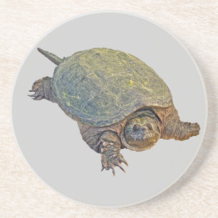 Gemeine reißende Schildkröte - Chelydra serpenti Sandstein Untersetzer