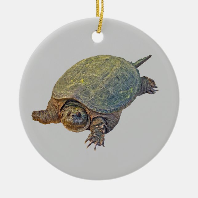 Gemeine reißende Schildkröte - Chelydra serpentina Keramik Ornament (Vorne)