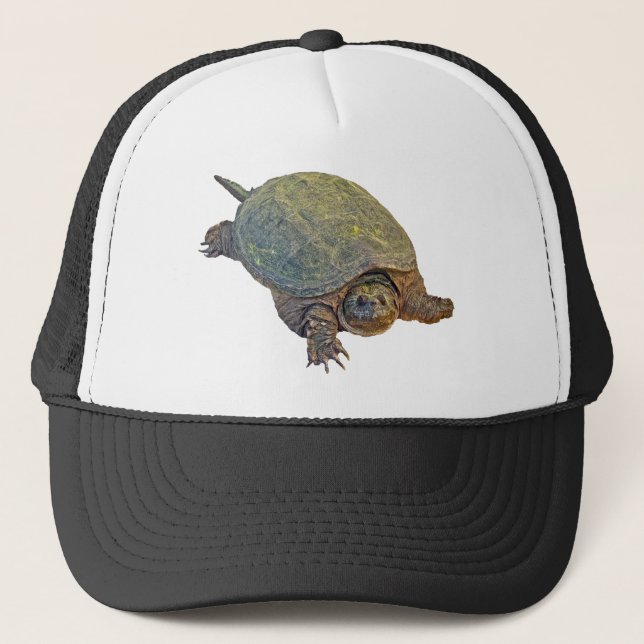 Gemeine reißende Schildkröte - Chelydra serpentina Truckerkappe (Vorderseite)