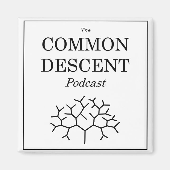 Gemeiner Abstieg Podcast-Platz Magnet (Vorne)