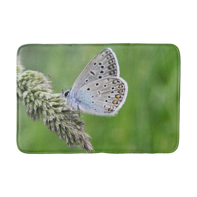 Gemeiner blauer Schmetterling auf Gras Badematte (Vorderseite)