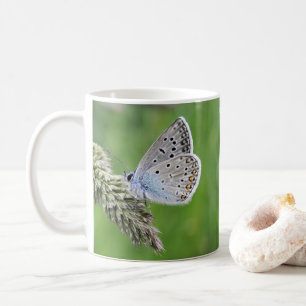 Gemeiner Blauer Schmetterling auf Gras Kaffeetasse