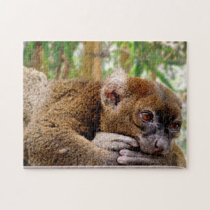 Gemeiner Brauner Lemur, Jigsaw Puzzle