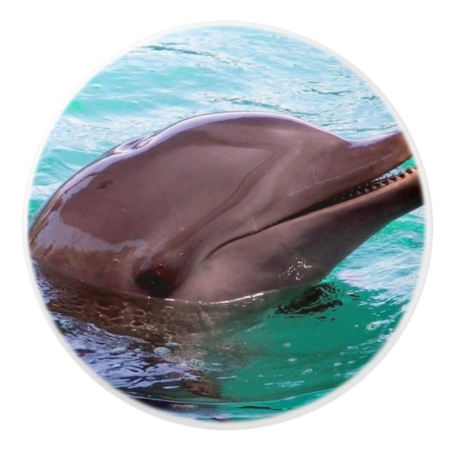 Gemeiner Delphin Keramikknauf (Vorderseite)
