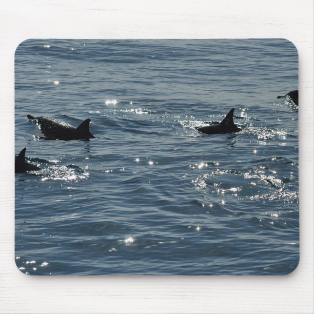 Gemeiner Delphin Mousepad Pazifiks (Vorne)