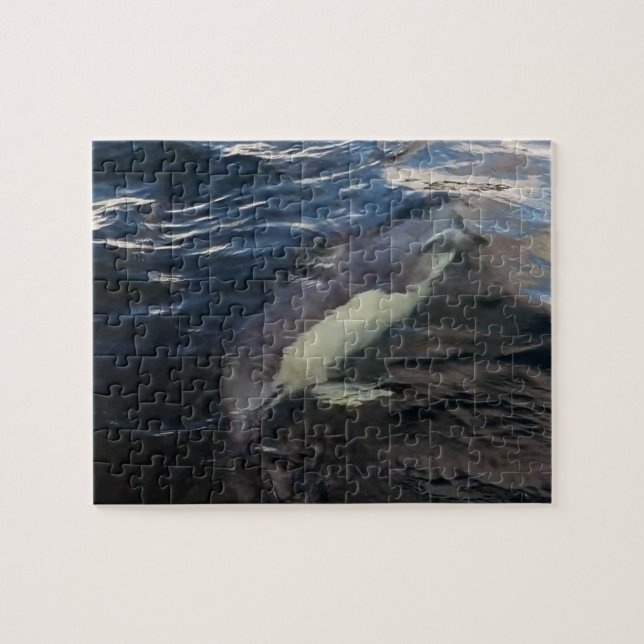 Gemeiner Dolphin-Schwimmen-Puzzle (Horizontal)
