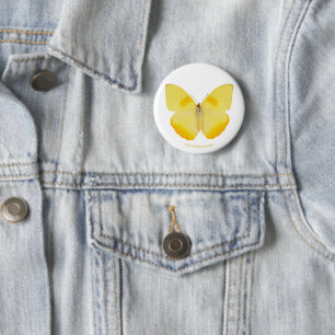 Gemeiner Gras-Gelb-Schmetterling Button
