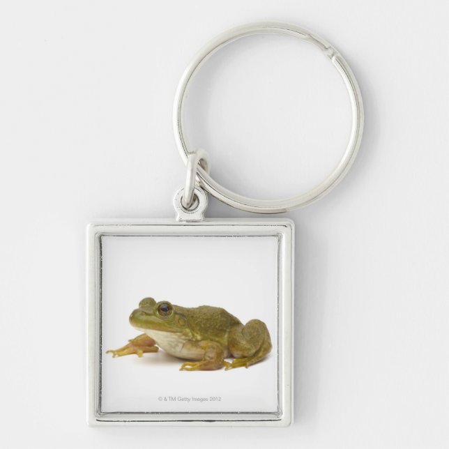 Gemeiner grüner Frosch Schlüsselanhänger (Vorne)