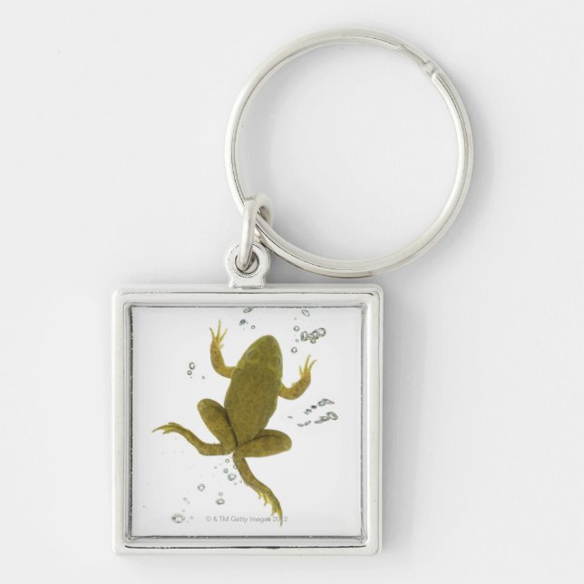 gemeiner grüner Frosch Schlüsselanhänger (Vorne)