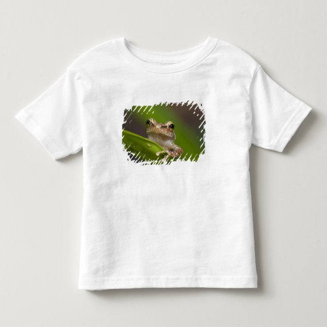 Gemeiner Kakao, Eleutherodactylus coqui Kleinkind T-shirt (Vorderseite)