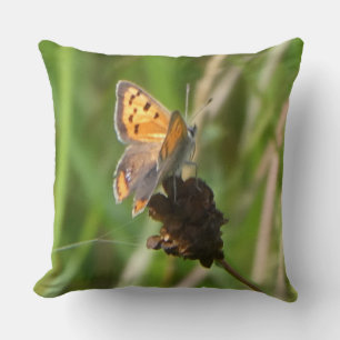 Gemeiner Kupfer-Schmetterling auf Blume-Keuschkiss Kissen