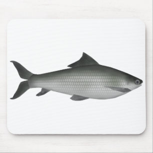 Gemeiner Labeo Mousepad