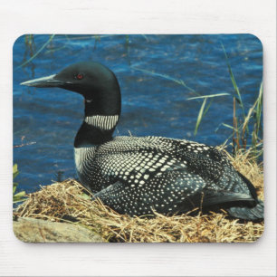 Gemeiner Loon Mousepad