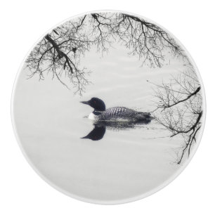 Gemeiner Loon Swims im Winter am Nordsee Keramikknauf