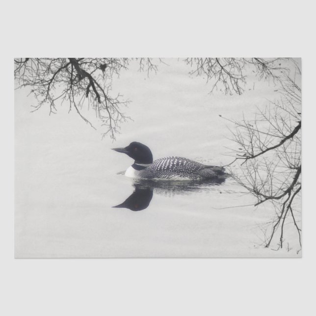 Gemeiner Loon Swims im Winter am Nordsee Seidenpapier (Vorderseite)