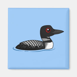 Gemeiner Loon, züchtender Erwachsener Magnet