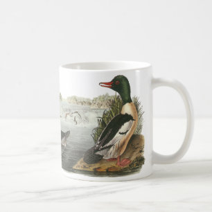 Gemeiner Merganser, John Audubon Kaffeetasse