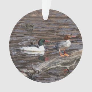 Gemeiner Merganser Ornament
