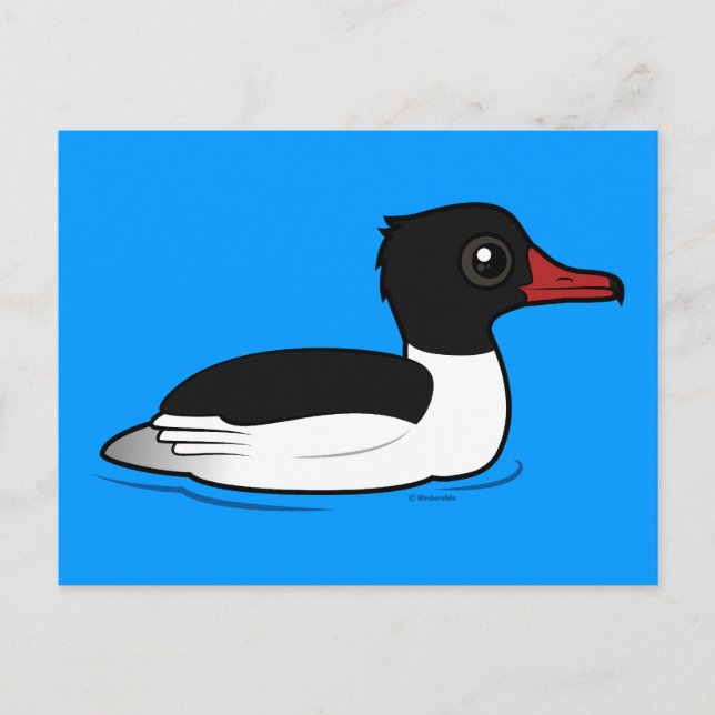 Gemeiner Merganser Postkarte (Vorderseite)