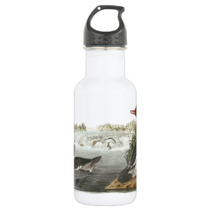 Gemeiner Merganser von Audubon Edelstahlflasche