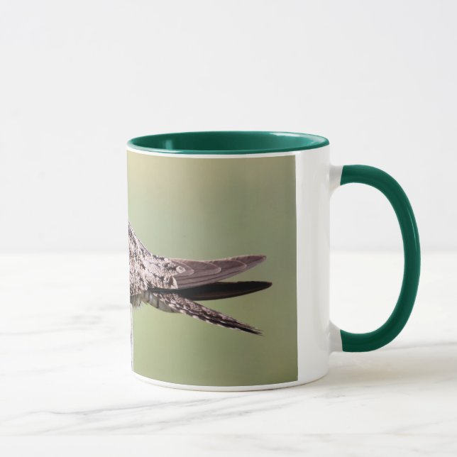 Gemeiner Nighthawk Tasse (Rechts)