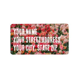 Gemeiner Rosa Tulip Blumengarten Adressaufkleber