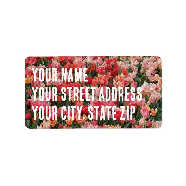 Gemeiner Rosa Tulip Blumengarten Adressaufkleber (Vorne)