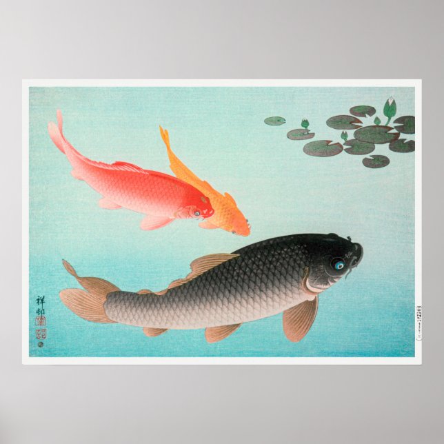 Gemeiner und goldener Karpfen von Ohara Koson (193 Poster (Vorne)