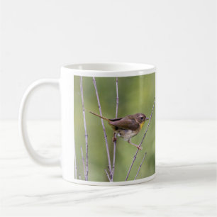 Gemeiner Yellowthroat Kaffeetasse