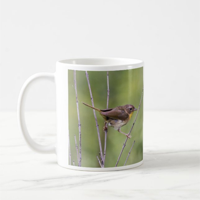 Gemeiner Yellowthroat Kaffeetasse (Links)