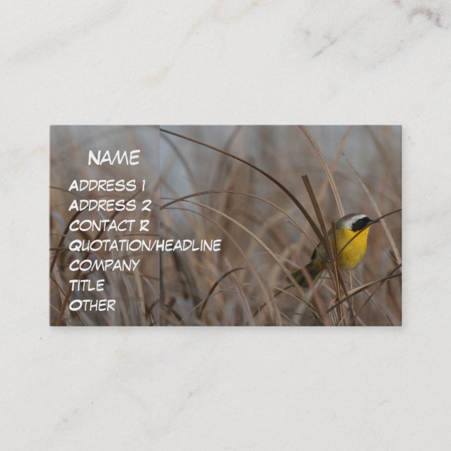 Gemeiner Yellowthroat-Visitenkarte Visitenkarte (Vorderseite)