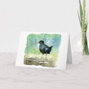 gemeines Teichhuhn Karte