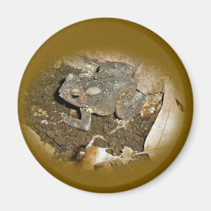 Gemeinsame Koordinationsaufgaben Magnet