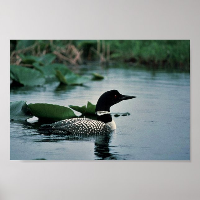 Gemeinsame Lounge Wasser Poster (Vorne)