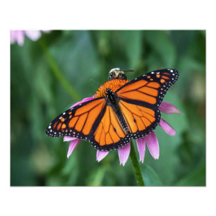 Gemeinsame Mahlzeit Fotodruck