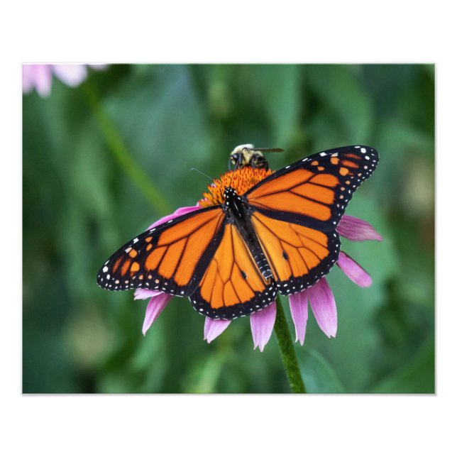 Gemeinsame Mahlzeit Fotodruck (Vorne)