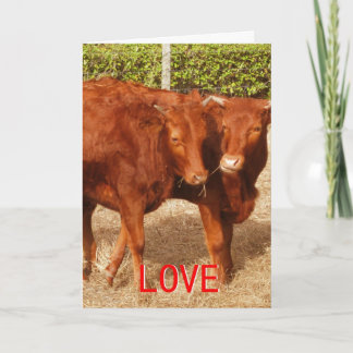 Gemeinsame Nutzung von Lieben Feiertagskarte