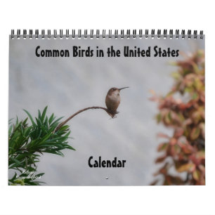 Gemeinsame Vogelarten im Kalender der Staaten