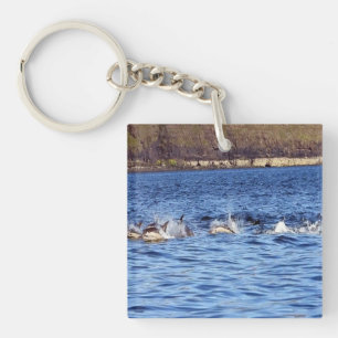 Gemeinsamer Delfin-Schwarm Schwimmt Auftauchen Oze Schlüsselanhänger